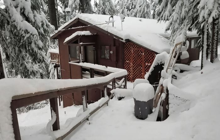 Cedar Pines Cabin w/ Fire Pit & Large Deck - BIG Trees - A Quaint Rustic Charmer