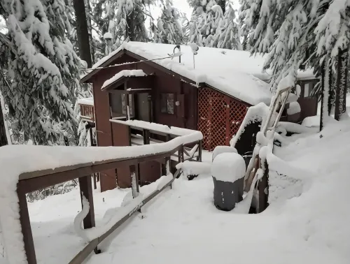 Cedar Pines Cabin w/ Fire Pit & Large Deck - BIG Trees - A Quaint Rustic Charmer - Wifi