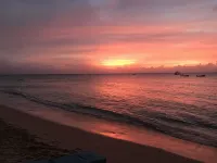 Winter/Spring Bookings! Anidele Spice - 1BR in Historic Holetown near Beach/Pool - 3성급