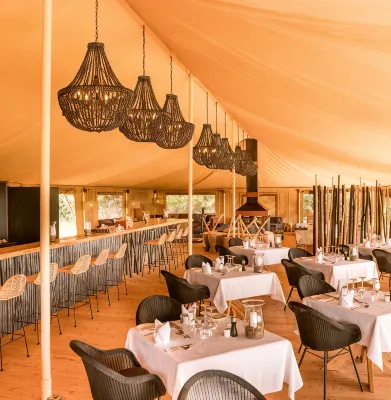 Serengeti Bushtops Camps - 5-Star