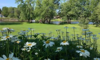 Le Reflet de la Rivière B&B