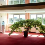 Volna Hotel