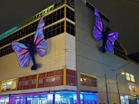 Hostel Downtown