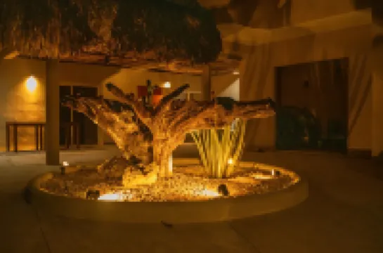 Hotel Circulo Bacalar