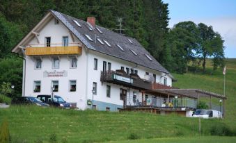 Gasthaus Pension Donishäusle