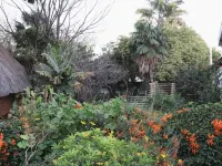 Serowe Hotel Hotels in 