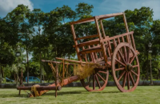 Farm Stay Resort - Shamirpet, Hyderabad Hotels in Medak