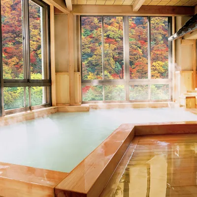 Shiobara Onsen Yama No Yado Shimofujiya - Wifi