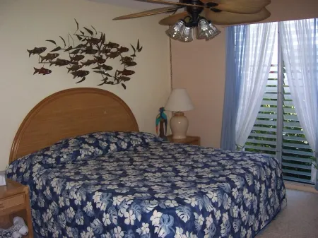 Spectacular Keauhou Bay Views