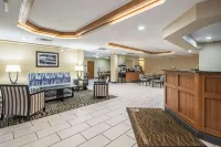 Comfort Inn University Hotels in Gainesville