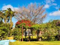 Moriah Natal Beach Hotel Hotels near Ponta Negra