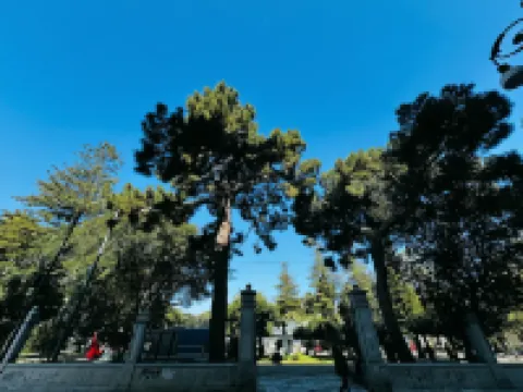 Sunset Guesthouse Hotel a Provincia di Reggio Calabria