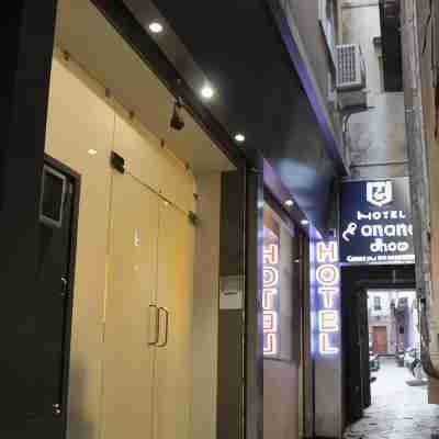 Hotel Shri Anand Dham 100 M from Shrinathji Temple Hotel Exterior