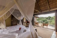 Safari Lodge - Amakhala Game Reserve Hotels in Kirkwood