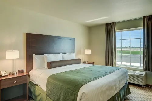 Cobblestone Inn & Suites - ORD - bar
