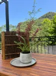 Xi Tou in Sunny Day Inn Hotels near Xitou Nature Education Area