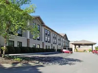 Quality Inn & Suites Boone - University Area Hotels in New River