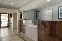 地平線貝斯特韋斯特飯店 - Wi-Fi