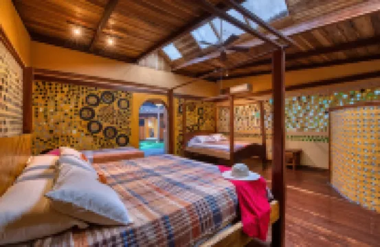 Tree House Lodge
