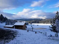 Elk City Escape - Amazing Views, Elk, & Wildlife - Homestays