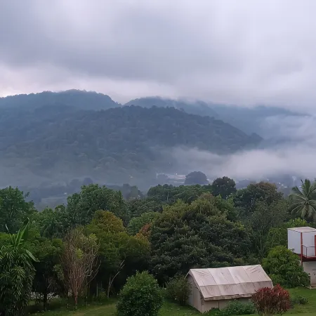 Camelliana Horizon Pongyang - Nature Retreat