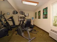 Wingate by Wyndham Kings Bay Naval Base / I-95 - Phòng Gym