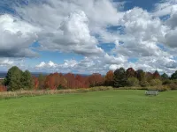 Cozy Cabin Sleeps 8 on ATV Trail in Turin NY