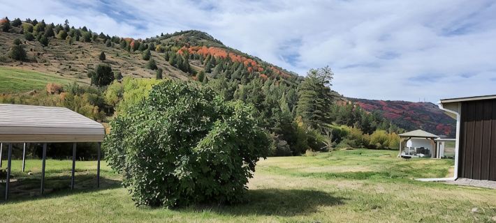 2 separate cabins, sleeps a total of 12, on 4 acres in Lava Hot Springs!! Hotels in Bannock County