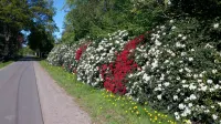 Vacation apartment "Kaminzimmer" in the 2-stall country house in the Rhodo garden. - Wi-Fi