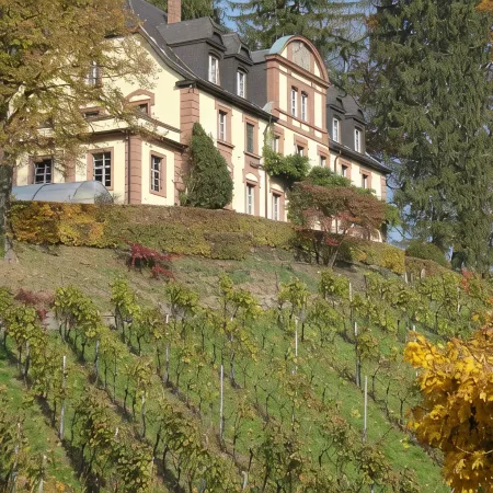 Neveu Winery Josephsberg 2