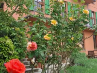 TOTAL RELAX or STARTING POINT FOR A DYNAMIC HOLIDAY Hotels in Lierna