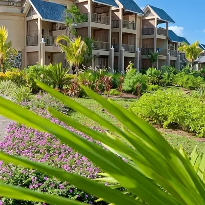 Jalsa Beach Hotel & Spa Hotels near Amber Is