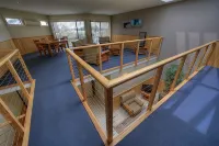 Ultimate Holiday Apartments - Apartments