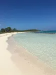 Seaside Jamaica Cottage with Lush Garden,  Hammock, 1 Minute Walk to Beach! - 3 stjerner
