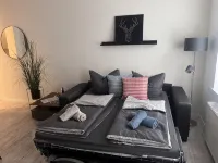Harzfokus - Wellnest Stilvolle Ferienwohnung in der City
