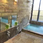 Kodakaranoyu Shiojiri Hotel