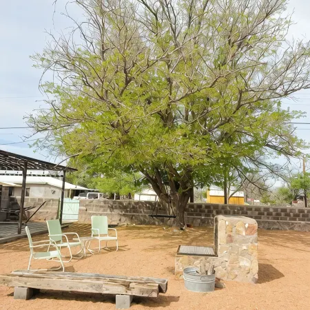 Ocotillo House: Centrally Located 3Bed/3Bath Home