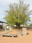 Ocotillo House: Centrally Located 3Bed/3Bath Home