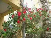 Makris Apartments