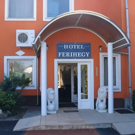 Hotel Ferihegy Отели в г. Вечеш
