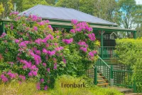 Observatory Cottages - parking