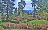 Terrace Villa Golf - Villas