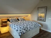 Spacious and luxurious wellness villa in Noordwijk with large private garden - 民宿