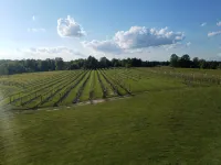 * New Hot Tub * Best Location on the Wine Trail! *