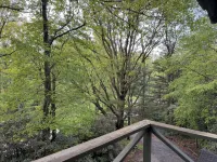 Enjoy Nature in Blowing Rock Neighborhood with Easy Access to Parkway! - Homestays