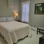 Warm northwoods beach-style apartment walking distance to OreBeGone & Mesabi Trl - 民泊