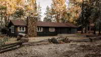 Cozy Fishing Cabin: Hat Creek, Pit River, Fall River, Baum Lake. Burney Falls. - Alphydda