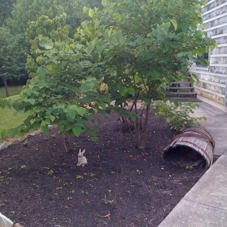 Tennessee's Finest Smoky Mountain Vacation Rental Getaway! Hotele w: Townsend
