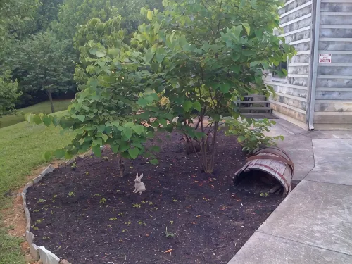 Tennessee's Finest Smoky Mountain Vacation Rental Getaway! - Wifi