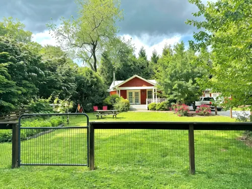 Incredible fenced in dog friendly cottage in downtown Brevard with hot tub! - 4-Star